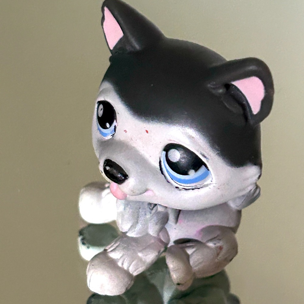 Authentic littlest pet shop black and white husky